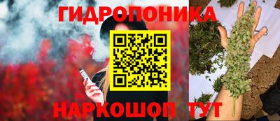 ECSTASY Шахты
