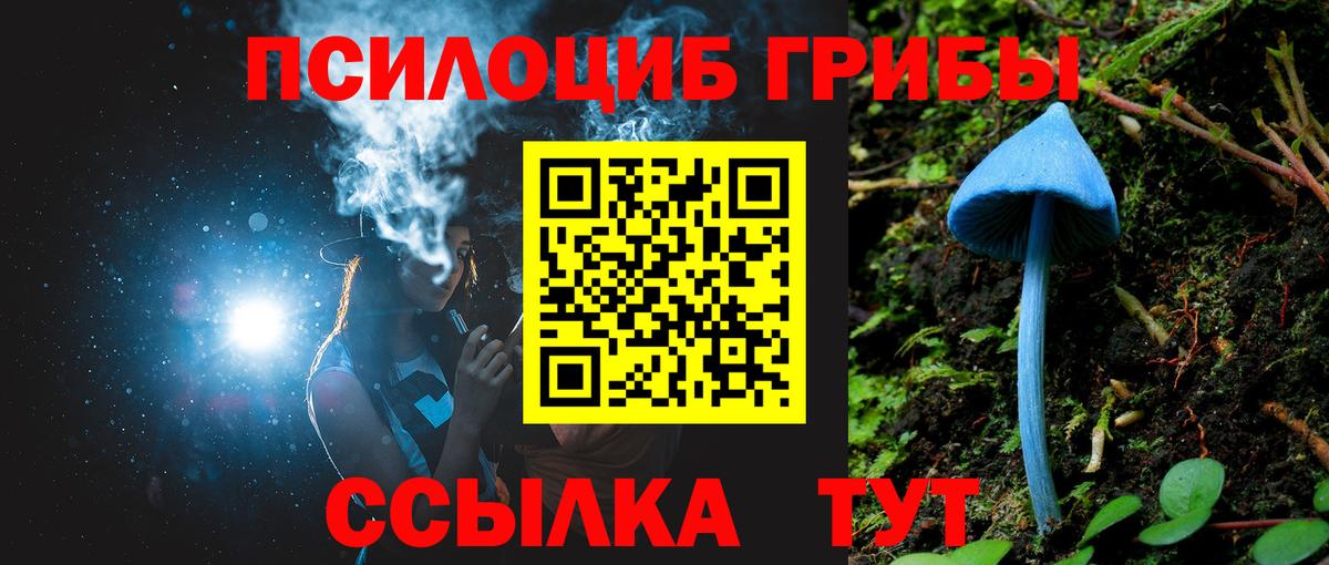 Сегежа  Псилоцибиновые грибы прущие грибы  Вход с VPN 