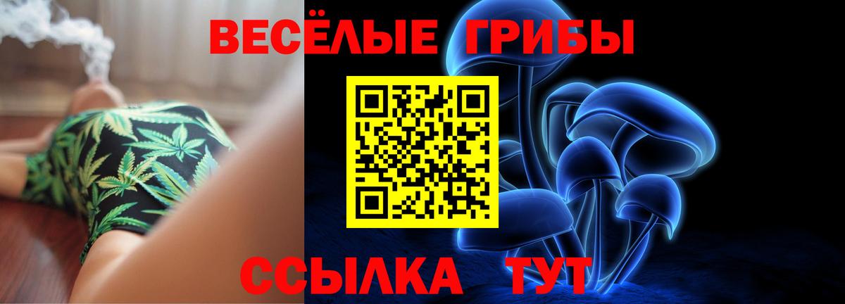 Псилоцибиновые грибы GOLDEN TEACHER Сегежа